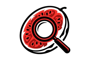 今日吃瓜 - 吃瓜社